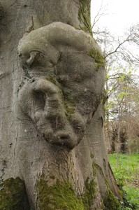 Tree Sprite